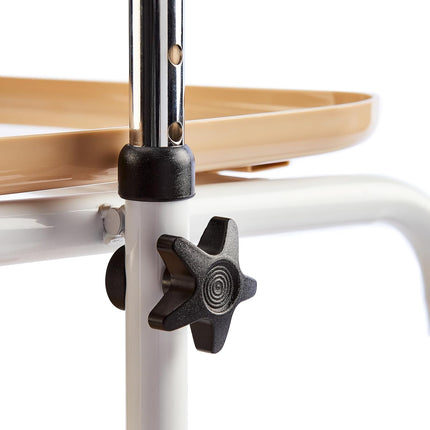 Indoor Mobility Walker with Wheels, Handy Trolley with Built-in Trays and Hand Brakes, Rollator with Trays