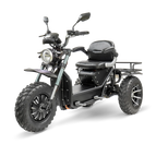 Harley Black