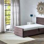 Mulberry